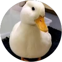 Lila profile picture